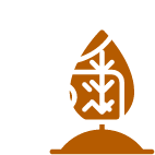 Food Allergen Testing